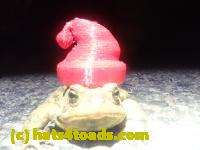 /home//u458753944/public_html/sourcegallery//////Roxborough Toad Detour/2024/2024-03-15/P3151335.JPG